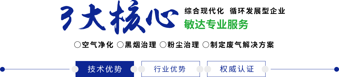 日逼视频免费观看敏达环保科技（嘉兴）有限公司